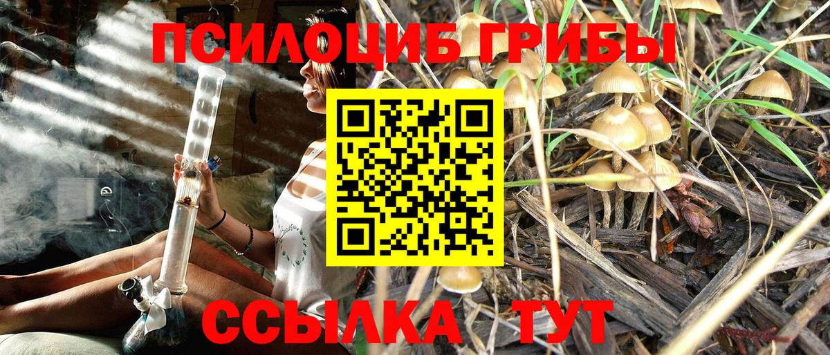 Галлюциногенные грибы Cubensis Учалы